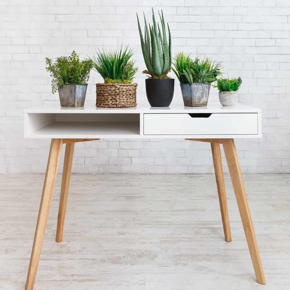 houseplants-in-various-pots-on-table-against-wall-WQ4GACX.jpg